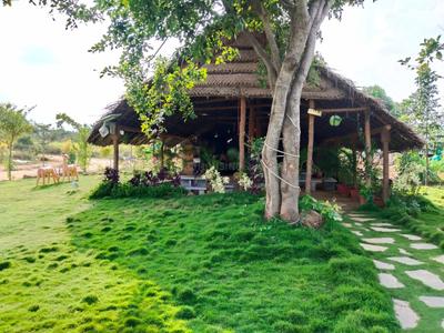 Project Image of 5470.0 - 11900.0 Sq.ft Residential Plot Plot for buy in Graama