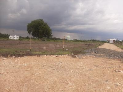 Project Image of 1320.0 - 1750.0 Sq.ft Residential Plot Plot for buy in Best Athens Villa