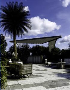 Project Image of 2265.0 - 4000.0 Sq.ft 3 BHK Apartment for buy in Acecorp Ace Del Lago