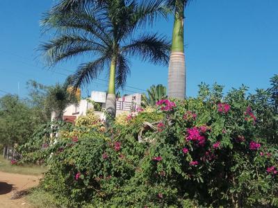 Project Image of 600.0 - 2400.0 Sq.ft Residential Plot Plot for buy in Miraacle Premium Villa Plots GNT Road