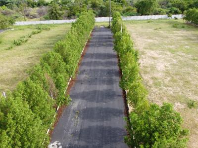 Project Image of 1350.0 - 2700.0 Sq.ft Residential Plot Plot for buy in Temple City I