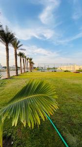 Project Image of 1600.0 - 6180.0 Sq.ft Residential Plot Plot for buy in Avila Meadows