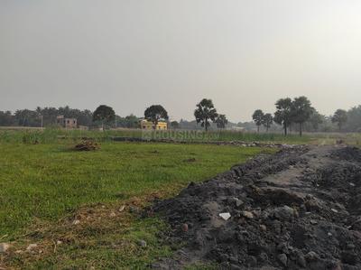 Nest Valley Plot 4