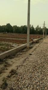 Project Images