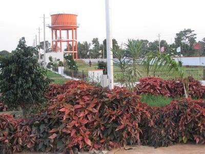 Project Image of 1200.0 - 1500.0 Sq.ft Residential Plot Plot for buy in Mitta Sai Prasanthi Homes