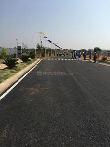 Project Image of 735.61 - 2605.62 Sq.ft Residential Plot Plot for buy in Excel Oxigen Phase 2