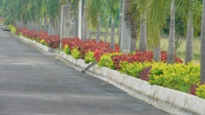 Project Image of 1194.79 - 2623.6 Sq.ft Residential Plot Plot for buy in Lavanya Lahari Nandana Green Avenues