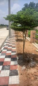 Project Image of 1619.97 - 2699.91 Sq.ft Residential Plot Plot for buy in Greater Global City RRR