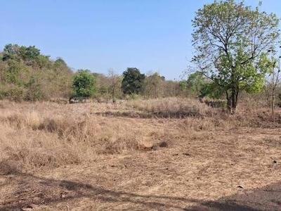 Project Image of 1000.0 - 3000.0 Sq.ft Residential Plot Plot for buy in Bhoomi Plots in Durshet