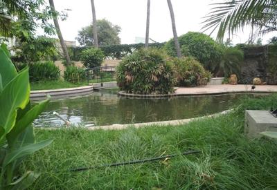 Project Image of 1135.0 - 1580.0 Sq.ft 2 BHK Apartment for buy in Prince Greenwoods