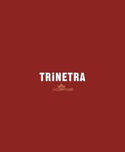 Project Image of 932.0 - 1042.0 Sq.ft 3 BHK Apartment for buy in Trinetra By Courtyard
