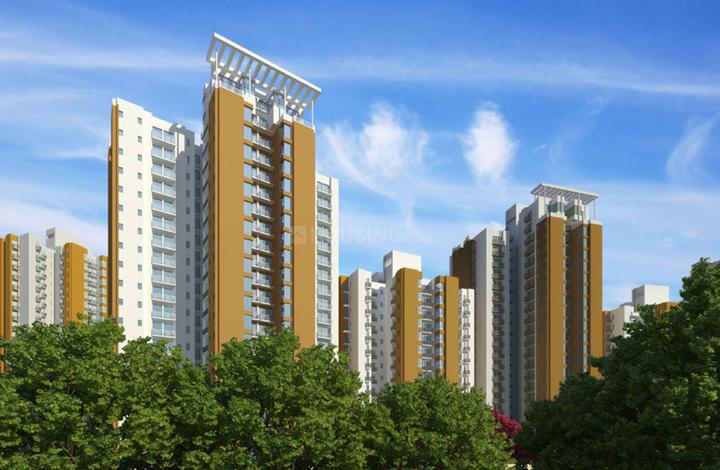 Jaypee Aman - Image 4