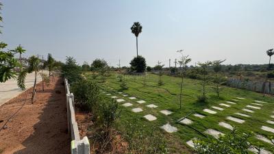 Project Image of 1323.0 - 3600.0 Sq.ft Residential Plot Plot for buy in Swathi Rare Hills