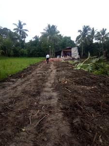 Project Image of 1080.0 - 2160.0 Sq.ft Residential Plot Plot for buy in Bhupati Amgachia Abasan