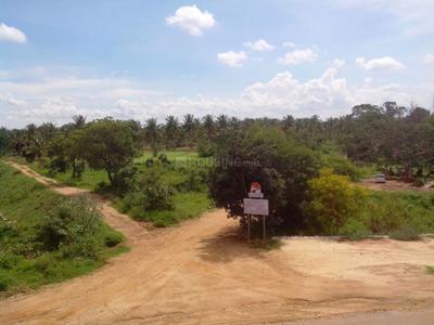 Project Image of 1200.0 - 2400.0 Sq.ft Residential Plot Plot for buy in Ashoka Aarna