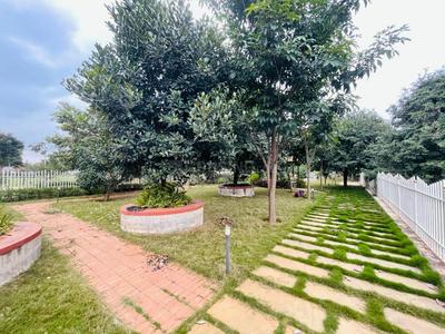 Project Image of 1410.0 - 2400.0 Sq.ft Residential Plot Plot for buy in MGS Shreela Airview Enclave