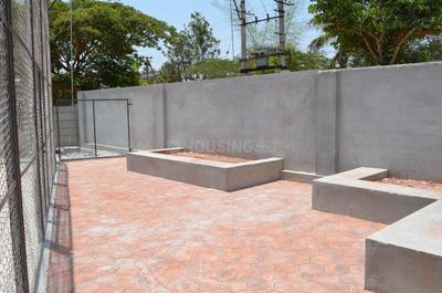 Maanya Tulips Others 2