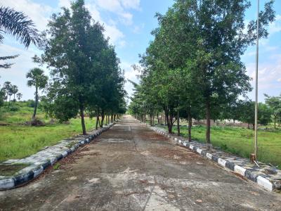 Project Image of 1474.66 - 4014.94 Sq.ft Residential Plot Plot for buy in Vimala Vyoma