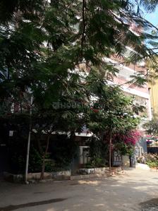 DS Max Symphony Elevation 1