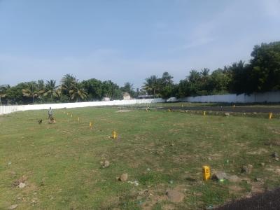 Project Image of 338.0 - 2244.0 Sq.ft Residential Plot Plot for buy in M A M Nagar