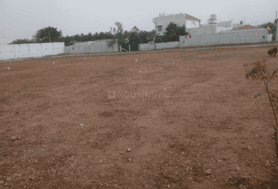 Project Images