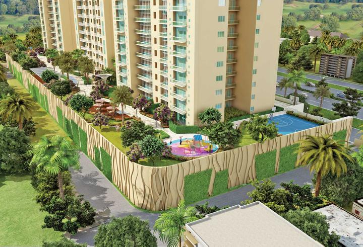 Saha Amadeus - Image 4