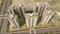 BS Vaibhav Heritage Height Elevation 1