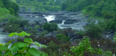 Project Image of 21780.0 - 43560.0 Sq.ft Residential Plot Plot for buy in Greenland The Sun Valley
