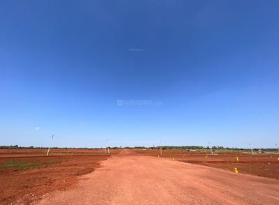 Project Images