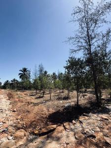 Project Image of 6000.0 - 12000.0 Sq.ft Residential Plot Plot for buy in Navile Farms 