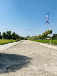 Project Image of 1000.0 - 1800.0 Sq.ft Residential Plot Plot for buy in Ricon Impex City
