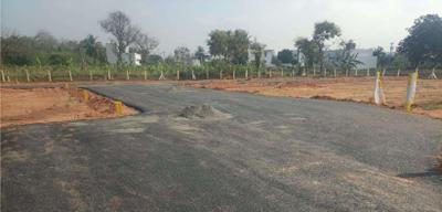 Project Images