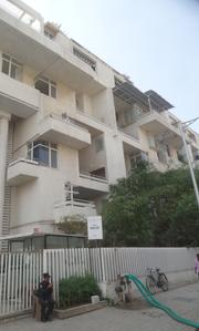 Rohan Parijat 2 2.jpeg 1