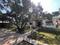 SU Haridwar Mango Farm House Phase 3 Elevation 1