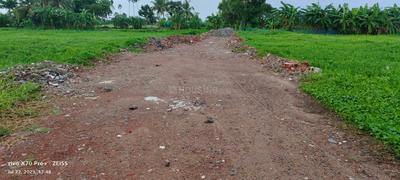 Project Image of 720.0 - 3600.0 Sq.ft Residential Plot Plot for buy in Bhasa Eco Village