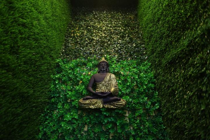 Platinum Homes - Image 4