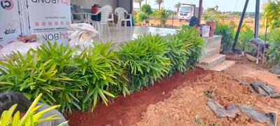 Project Image of 1557.0 - 6624.0 Sq.ft Residential Plot Plot for buy in Landmark West City Grand