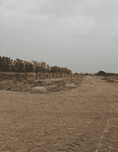 Project Image of 1125 Sq.ft Residential Plot / Land for sale in Sector 60 for Rs. 7250000