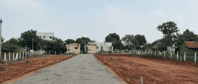 Project Images