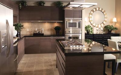 The Amazonia Kitchen 1