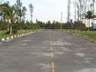 Ruby Paradise Elevation 1