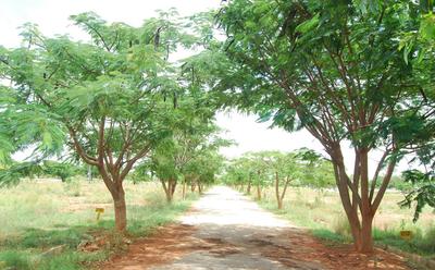 Project Image of 1200.0 - 2400.0 Sq.ft Residential Plot Plot for buy in Aashrayaa Aero Springs
