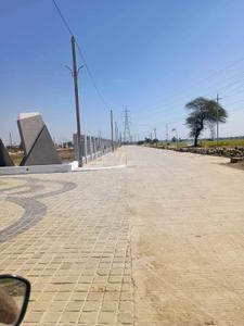 Project Images