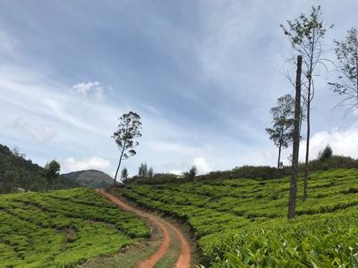 Project Image of 1000.0 - 10018.0 Sq.ft Residential Plot Plot for buy in ABI Royal Crown Vesta