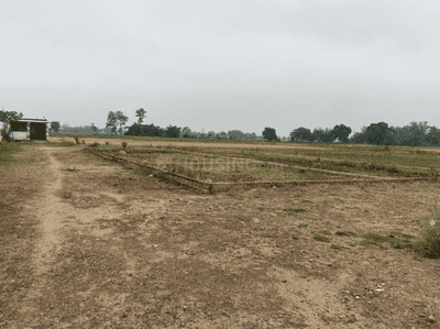 Project Images