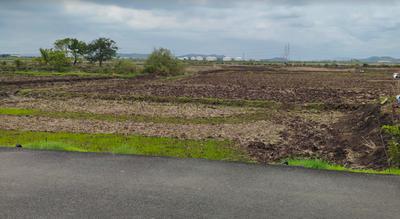 Project Image of 1000.0 - 10000.0 Sq.ft Residential Plot Plot for buy in Plots In Ranjanpada