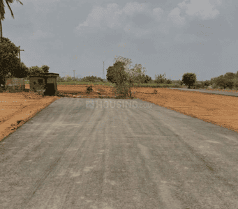 Project Images
