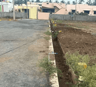 Project Images