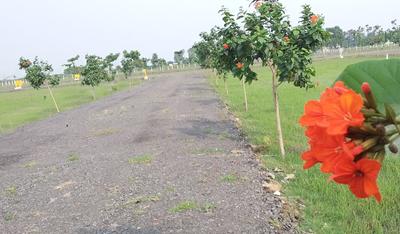Project Image of 645.0 - 2357.0 Sq.ft Residential Plot Plot for buy in Ashok Metrovaram