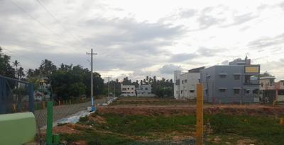Project Images